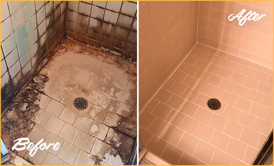 Sir Grout Restored This Harmony Tile Bathroom to Repair Water Damage Before and After Picture of a Harmony Hard Surface Restoration Service on a Tile Bathroom to Repair Water Damage